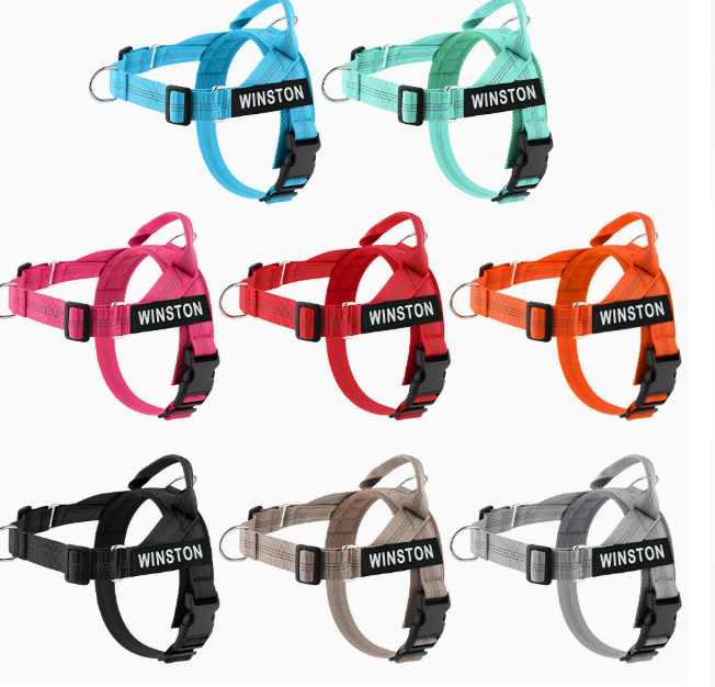 Pet Harness